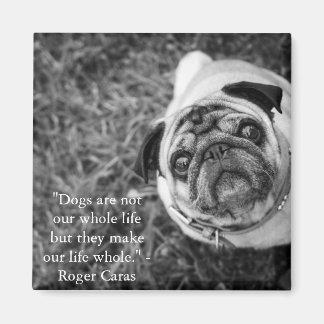 パグ磁石 マグネット