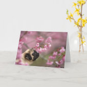 パグ臭いさくらんぼの花 カード (黄色い花)
