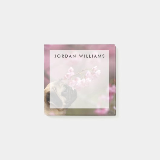 パグ臭いさくらんぼの花 ポストイット (正面)