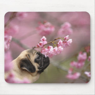 パグ臭いさくらんぼの花 マウスパッド
