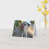 パグ誕生おもしろい日 カード (黄色い花)