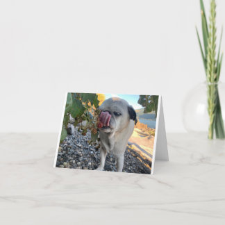 パグ誕生おもしろい日 カード