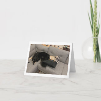 パグ誕生日カーおもしろいド カード