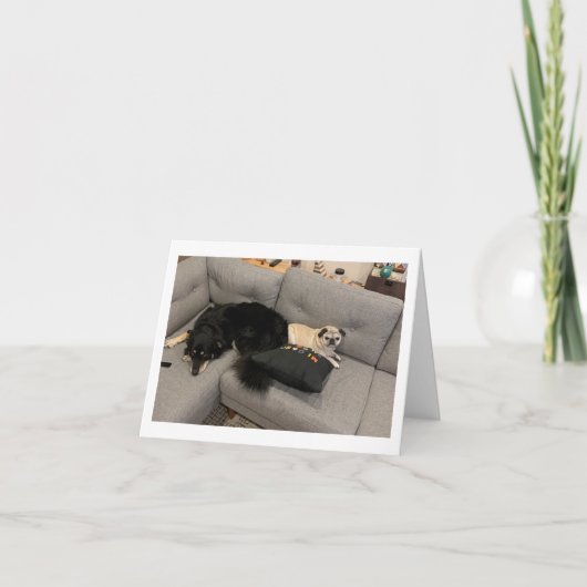 パグ誕生日カーおもしろいド カード (正面)