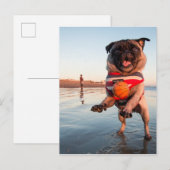 パグ遊のビーチ ポストカード (正面/裏面)