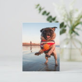 パグ遊のビーチ ポストカード (スタンド正面)