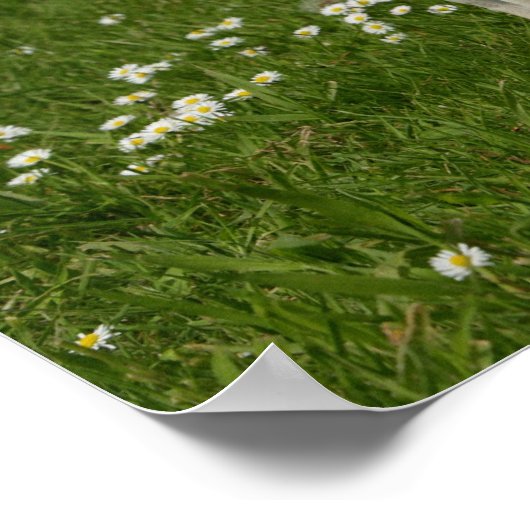 パグ遊の花 ポスター (角)