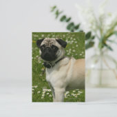 パグ遊の花 ポストカード (スタンド正面)