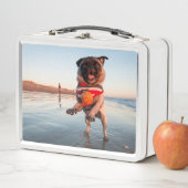 パグ遊ズボールオンビーチ メタルランチボックス (インサイチュ)