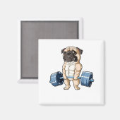 パグ重量挙おもしろい上デッドリフト男性フィットネスジム マグネット (正面/裏面)