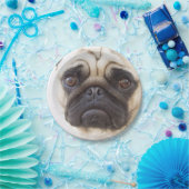 パグ7 ペーパープレート (パーティー)