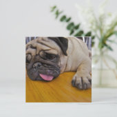 パグ あと1人招待 招待状 (スタンド正面)