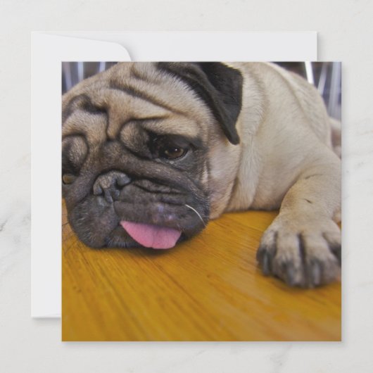 パグ あと1人招待 招待状 (正面)