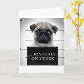 パグ カード (黄色い花)