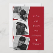 パグ＆キッス フォト コラージュ バレンタイン シーズンカード (正面)