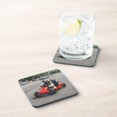 パグ・ゴーカート・レース コースター (右側)