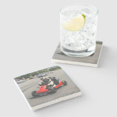 パグ・ゴーカート・レース ストーンコースター (横)