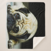 パグ シェルパブランケット (正面)