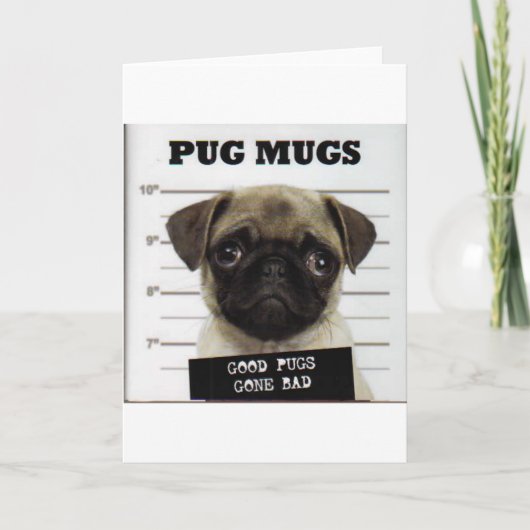 パグ シーズンカード (正面)