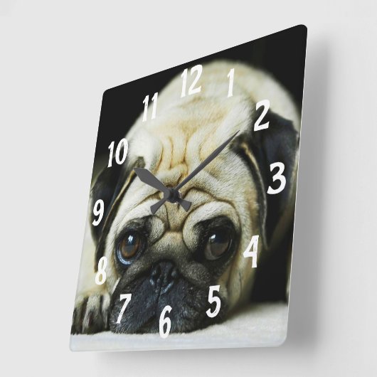 パグ スクエア壁時計 (傾斜)
