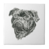 パグ タイル (正面)