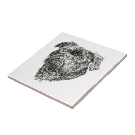 パグ タイル (側面)