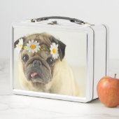 パグ(デイジークラウン) メタルランチボックス (インサイチュ)