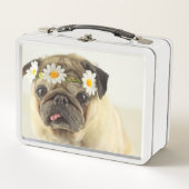 パグ(デイジークラウン) メタルランチボックス (正面)