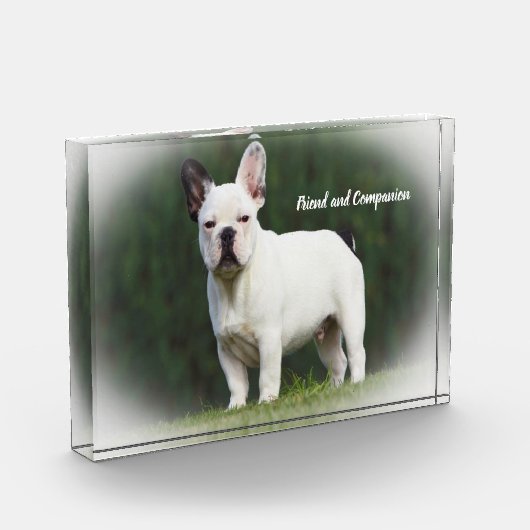 パグ・ドッグ フォトブロック (左)