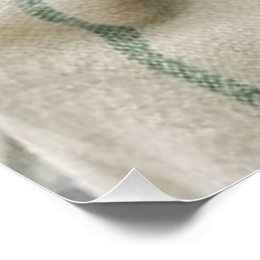 パグ ポスター (コーナー)