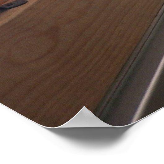 パグ ポスター (角)