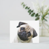 パグ ポストカード (スタンド正面)