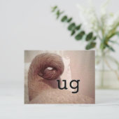 パグ ポストカード (スタンド正面)