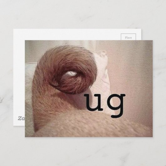 パグ ポストカード (正面/裏面)