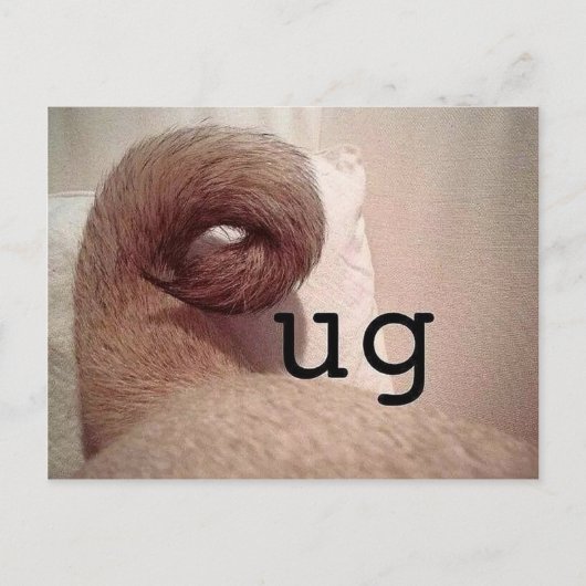 パグ ポストカード (正面)