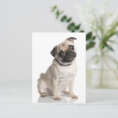 パグ ポストカード (スタンド正面)