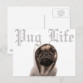 パグ ポストカード (正面/裏面)