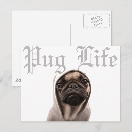 パグ ポストカード (正面/裏面)