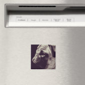 パグ マグネット (インサイチュ (食洗機))