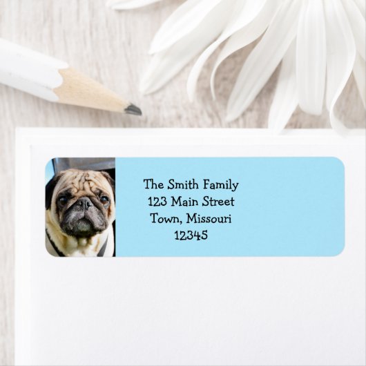 パグ ラベル (インサイチュ)