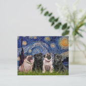 パグ (4匹, 2B, 2F) - 星月夜 ポストカード (スタンド正面)