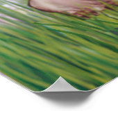 パグ(4) - Lilies2 ポスター (角)