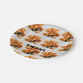 パケナムウッドフォントスウィート文字名 ペーパープレート (アングル)