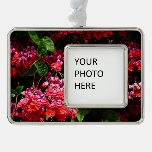 パゴダカラフルの花（赤とピンク） シルバープレートフレームオーナメント (正面)