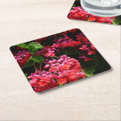 パゴダカラフルの花（赤とピンク） スクエアペーパーコースター (アングル)