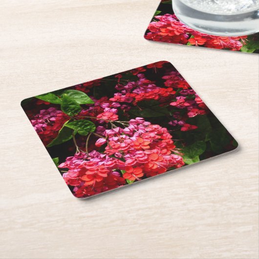 パゴダカラフルの花（赤とピンク） スクエアペーパーコースター (アングル)