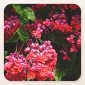 パゴダカラフルの花（赤とピンク） スクエアペーパーコースター (正面)