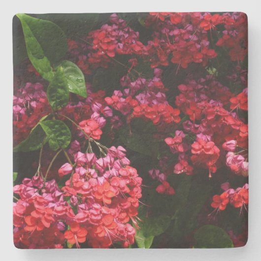 パゴダカラフルの花（赤とピンク） ストーンコースター (正面)