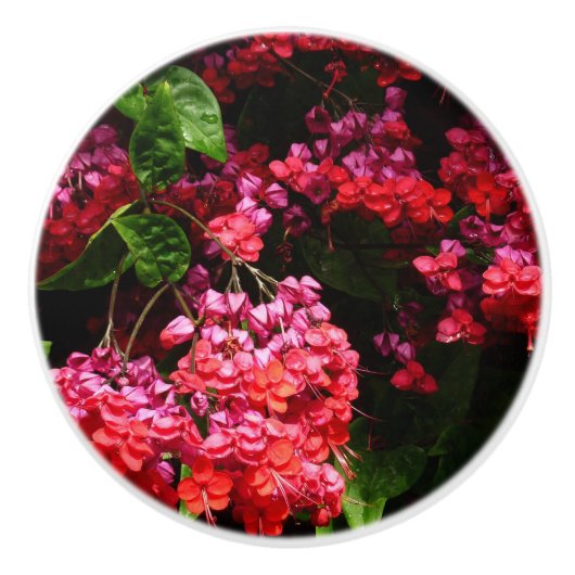 パゴダカラフルの花（赤とピンク） セラミックノブ (正面)