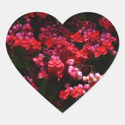 パゴダカラフルの花（赤とピンク） ハートシール (正面)